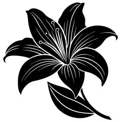 lily flower vector