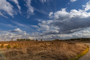 A field with a cloudy sky in the background