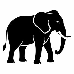 Elephant Vector