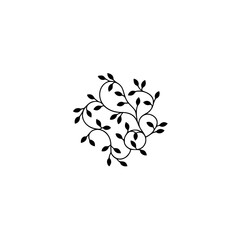 Minimalist Floral Design: Elegant Black Leaves and Vines on White
