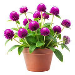 luxury gold logo concept