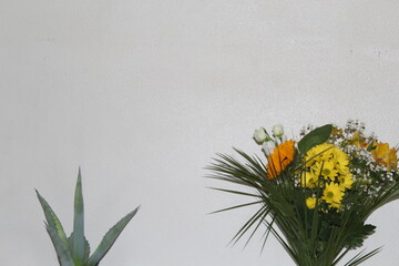 Bouquet de fleurs et aloe vera sur fond blanc tournesol