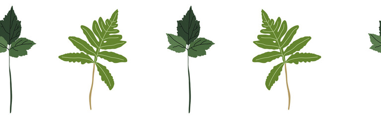  Leaves border on a white background. Hand-drawn illustration. Perfect for spring and summer.