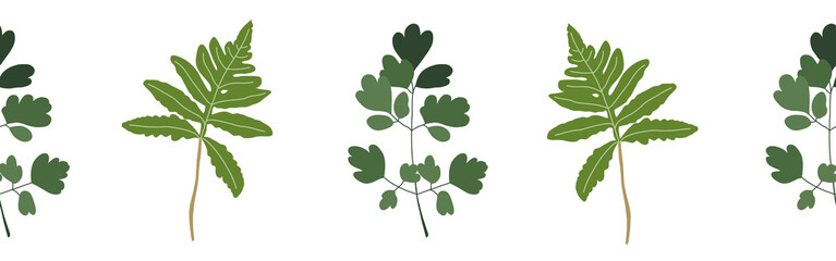  Leaves border on a white background. Hand-drawn illustration. Perfect for spring and summer.