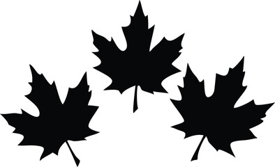 Maple Leaves Silhouettes Isolated on White Background. Illustration