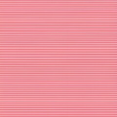 핑크줄무늬