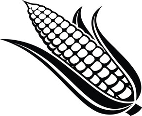 vector illustration of a corn cob, isolated on a white background.