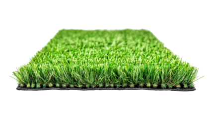 Artificial lawn turf detail cross section, cut out transparent
