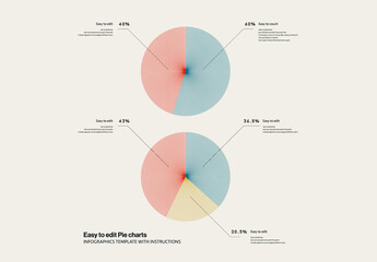Easy to Edit Pie Chart Infographics Template