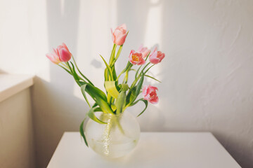Delicate pink tulips gracefully arranged in a clear vase on a sunlit table in a cozy, modern room. Confortable atmosphere at home, celebration concept.