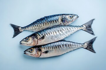 Naklejka premium Three Freshly Caught Fish Lying Neatly on a Plain Blue Surface