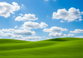 Fototapeta premium Serene Rolling Hills Under a Blue Sky with Puffy Clouds