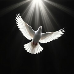 White dove soaring against black background, illuminated light beams shine from above. Bird in flight represents peace hope freedom. Symbol of faith spirituality.