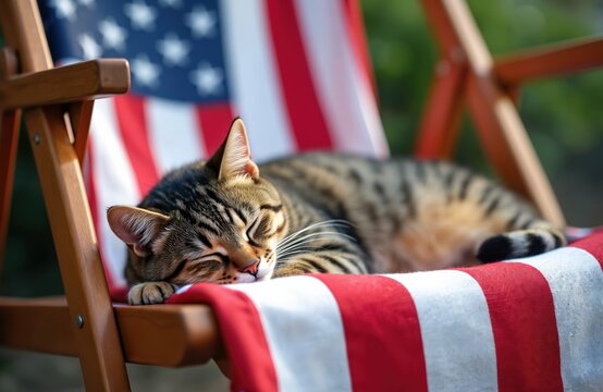 Tabby cat sleeping on deck chair. American flag pattern chair setting. Relaxed domestic pet rest outside on Independence Day 4th of July holiday. USA patriotism, freedom, summer, backyard.