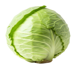 Obraz premium 新鮮な緑キャベツ みずみずしい野菜