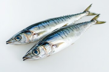Fototapeta premium Two fresh fish on a white surface showing details