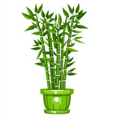 Obraz premium Lush Green Bamboo Plant in Light Green Pot