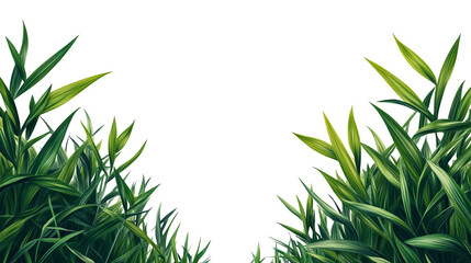 Fresh grass with long leaves for decoration, cut out transparent