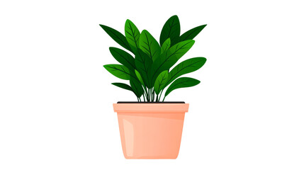 Potted indoor plant with green leaves in pot, cut out transparent
