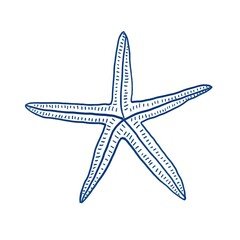 Fototapeta premium Starfish illustration blue art.