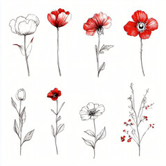 Watercolor red and black flower set art drawing painting. White background