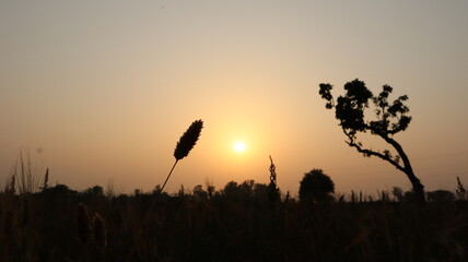 Sunset paints golden fields as shadows lengthen.