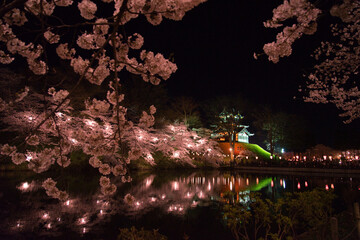 高田城址公園の桜