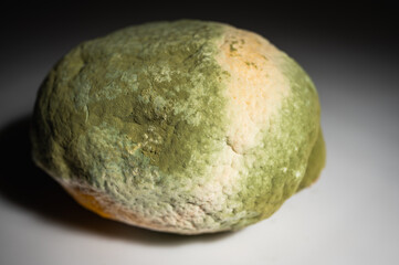 Fototapeta premium Close-up image of a rotten lemon covered in mold. Rotten citrus fruit with green and white fungus, symbolizing food waste, decomposition and natural organic processes, selective focus