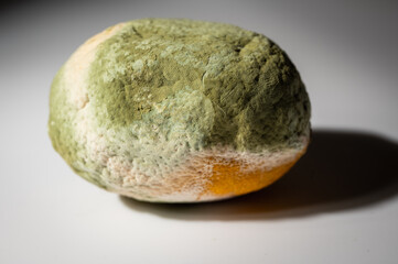 Close-up image of a rotten lemon covered in mold. Rotten citrus fruit with green and white fungus,...