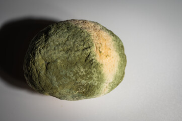 Close-up image of a rotten lemon covered in mold. Rotten citrus fruit with green and white fungus, symbolizing food waste, decomposition and natural organic processes, selective focus