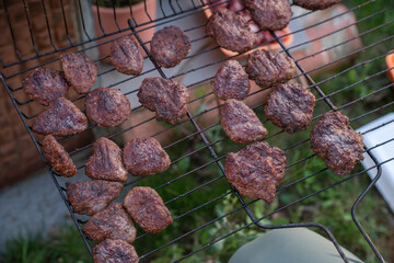 Frying cutlets on the grill, barbecue