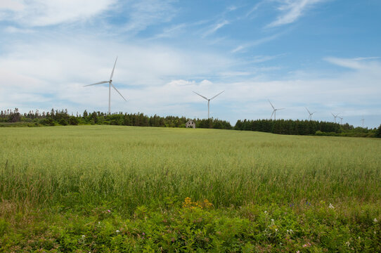 Rural Prince Edward Island landscape with wind turbines, a green field, and a small house amid trees under a blue sky. Renewable energy meets nature in this scenic countryside view.