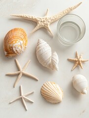 Coastal Seashells and Starfish Arrangement - A serene arrangement of seashells and starfish on a light beige background, with a glass of water adding a touch of tranquility