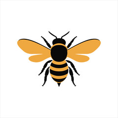 Bee flying on a white background in a closeup macro illustration with yellow and black colors