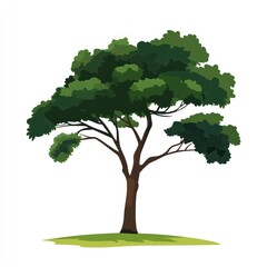 Coco tree illustration art environmental.
