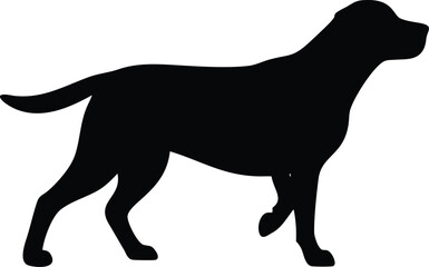 Elegant Silhouette of a Powerful Cane Corso Dog with Transparent Background