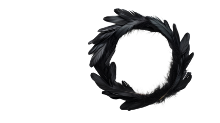 Feather wreath with delicate texture and isolated on black , cut out transparent