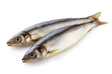 Obraz premium Two silver colored fish are lying on a white surface