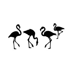 Graceful flamingo silhouettes wading on white background, elegance symbol