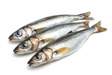 Three freshly caught fish are displayed on a white background