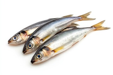 Fototapeta premium Three small silvery fish are arranged in a diagonal line