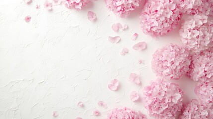 Delicate pink hydrangeas blooming floral arrangement studio setting minimalist decor aesthetic viewpoint nature concept for home decor