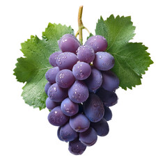 Juicy Purple Grapes with Fresh Green Leaves, Perfect for Food and Beverage Design - Isolated Image