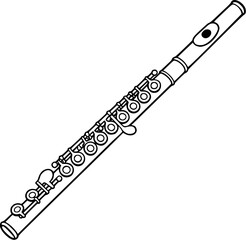 western concert flute, flute, flutist, flautist, orchestra, musician, teacher