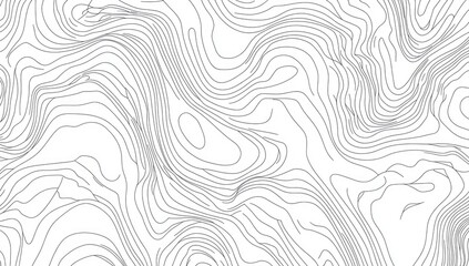 Abstract topographic map design.  Intricate lines create a flowing, textured surface resembling elevation contours of a landscape