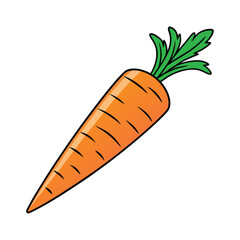 carrot vector isolated on a white background