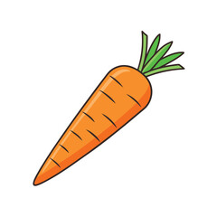 carrot vector isolated on a white background