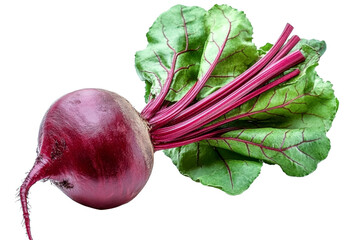 beetroot vegetable with green leaves on white background