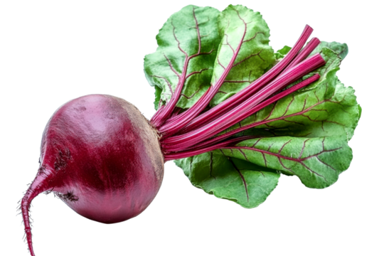 beetroot vegetable with green leaves on white background