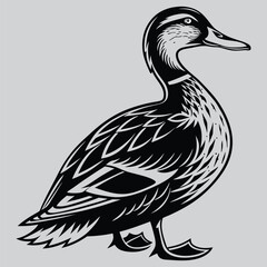 A mallard duck with its head tilted  image silhouette design vector art and illustration